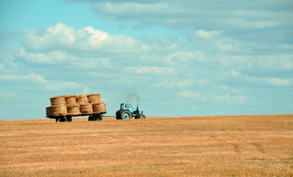 Intervento straordinario a supporto delle esigenze di liquidità delle imprese agricole con sede operativa in Veneto