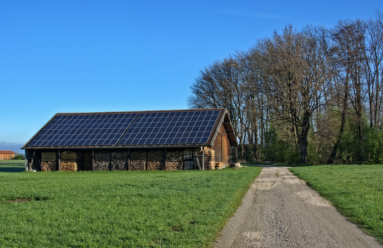 Patrizia Pincin-Imprese agricole e agroindustriali: contributi per impianti fotovoltaici-Agoràpro