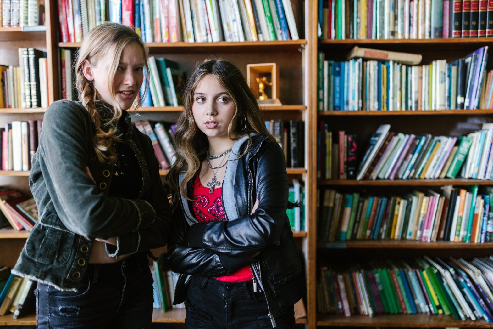 Bullismo e adolescenza: un binomio complesso, avv. Daria Bissoli, Agoràpro